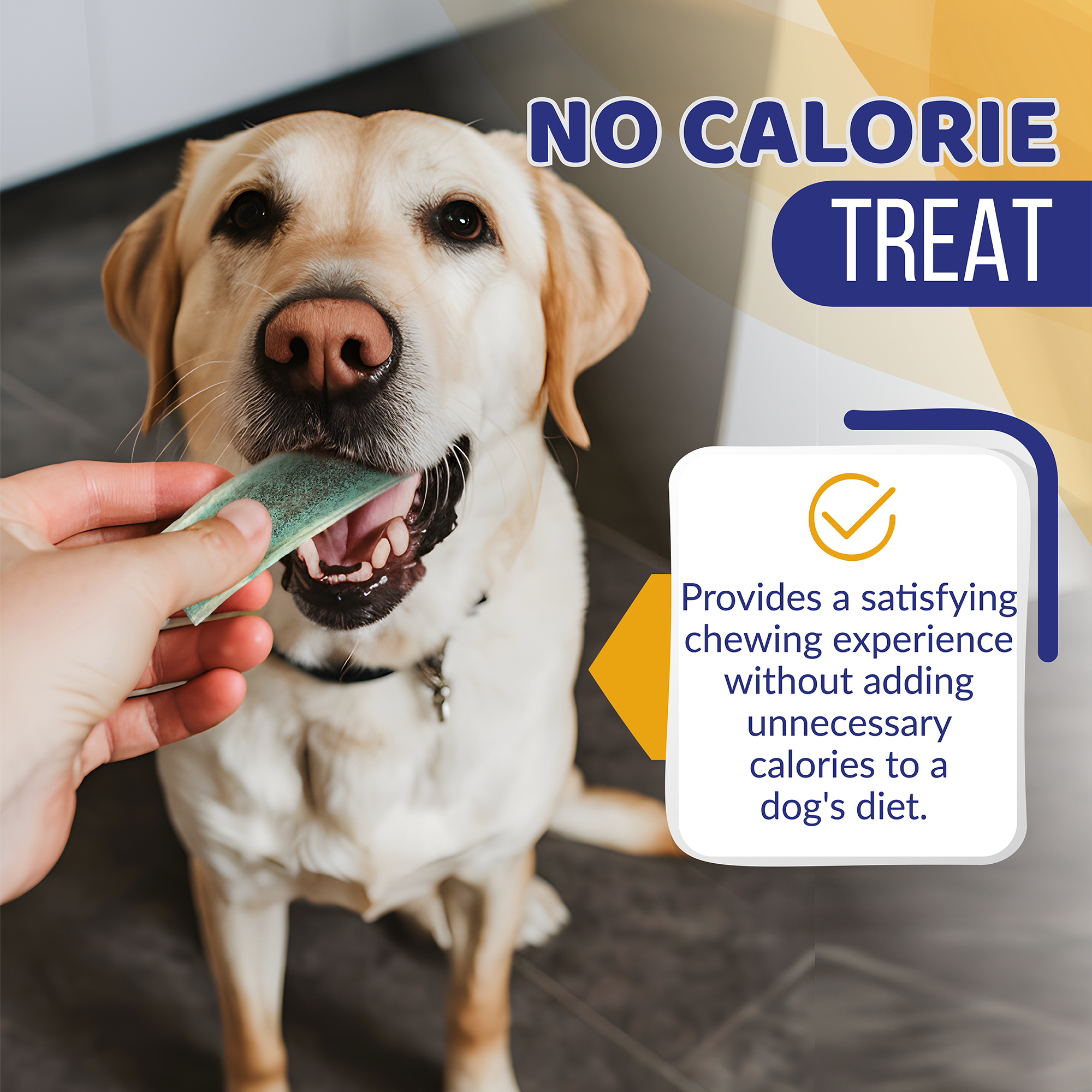 VitaMin Elk Antler - Your Dog Thinks It's a Treat. You'll Know It's So Much More.