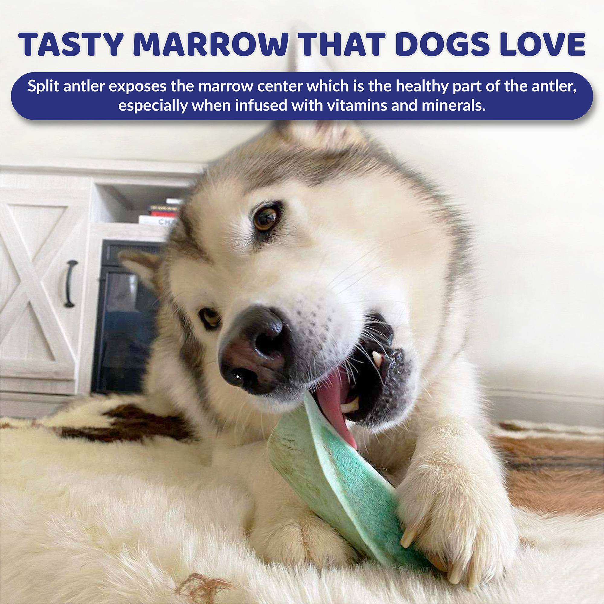VitaMin Elk Antler - Your Dog Thinks It's a Treat. You'll Know It's So Much More.
