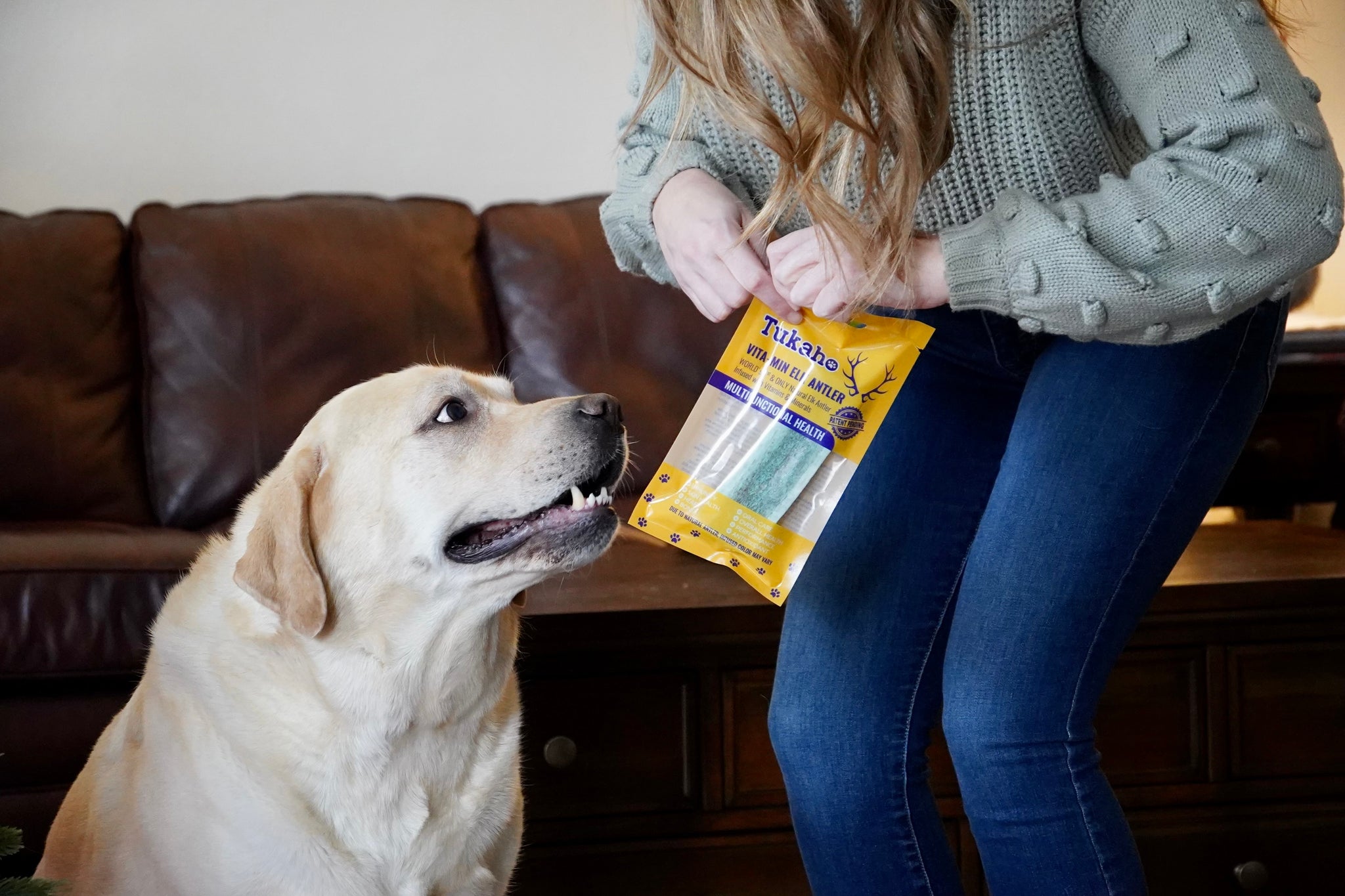 Antler world dog sales products